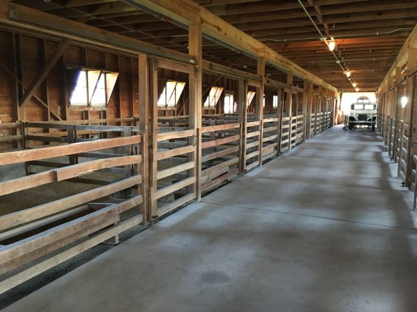 Barn Floor Pouring in Dothan