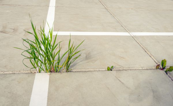 Concrete Parking Installation in Dothan