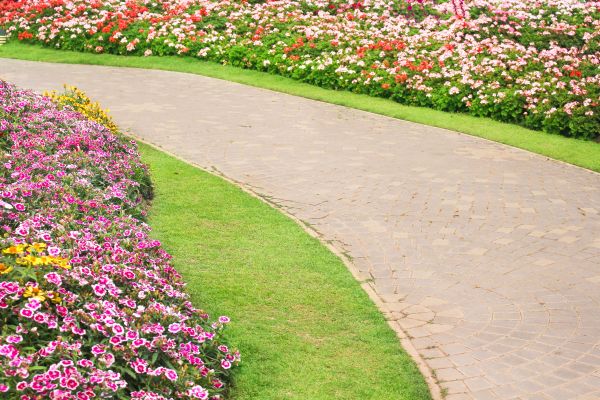Concrete Walkway Service in Dothan